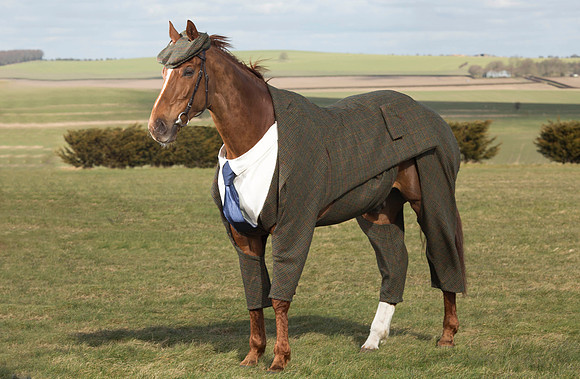 William Hill